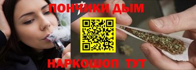 индика Ставрополь
