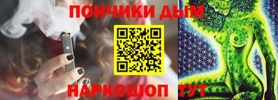 индика Ставрополь