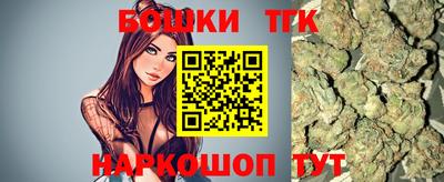 индика Ставрополь