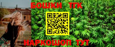 индика Ставрополь