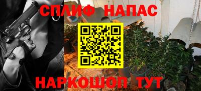индика Ставрополь