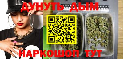 индика Ставрополь