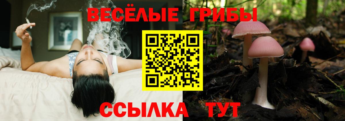 Псилоцибиновые грибы мухоморы  Вход с VPN  Саяногорск 